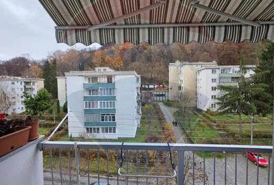 Apartament 3 camere strada Mihai Viteazu Sighisoara - 9