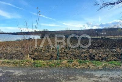 Teren intravilan 1687 mp pentru cabana zona de gradini Cisnadie - 6