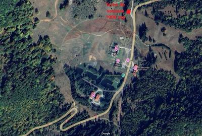 Teren de vis la poarta statiunii turistice Poiana Brasov -- 1000 mp - 4