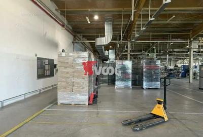 Proprietate Industriala 7000 mp hala in Calea Sagului Timisoara Proprietate Industriala 7000 mp hala in Calea Sagului Timisoara - 4