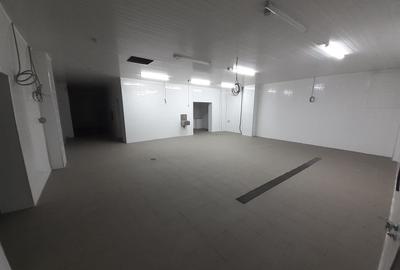 Hala - flux DSV - domeniu alimentar - productie sau catering - 7