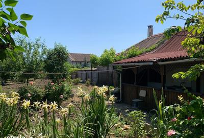 Casă cu 4 camere cu Teren 1592 Mp în Techirghiol - 8