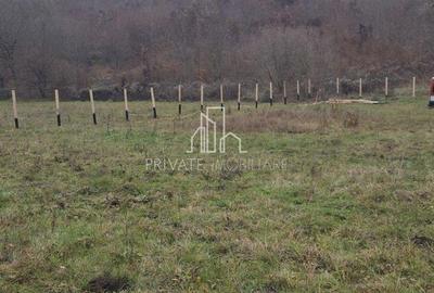 Teren de vanzare, 20.000Mp , Comuna Danes, drumul Crisului - 9