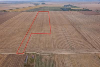 FRUMUSANI - PASAREA, TEREN 14420 MP, FRONT 40 M! - 3