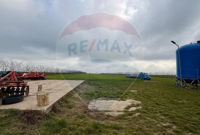 Teren agricol extravilan de 60000 mp, în Săcele - 11