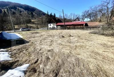 Casă cu 3 camere cu Teren 3300 Mp în Arieșeni - 1