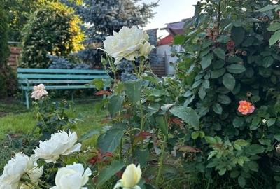 Casă individuală cu 6 camere cu Teren 4265 Mp în Izbiceni - 14