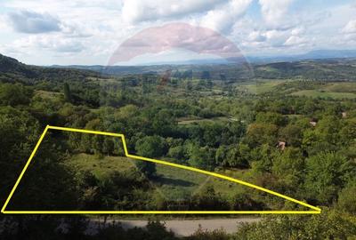 Teren intravilan de vanzare in Magureni - 2