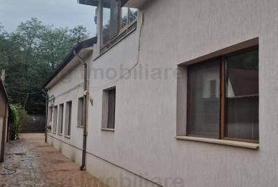 Pensiune Silistea Snagovului - 11