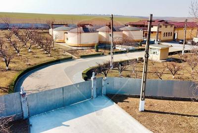 Spațiu comercial, de 2,800 mp, în Buciumeni - 4