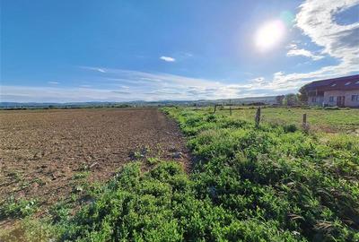 Teren agricol intravilan de 1200 mp, în 9 Mai - 1