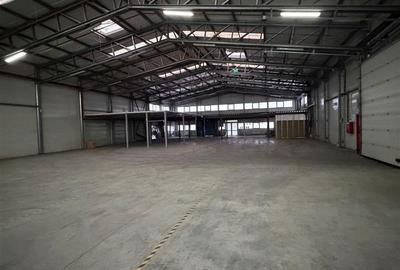 Inchiriere hale industriale, Stefanesti, 650 mp, sau mai mult, autorizatie ISU - 8
