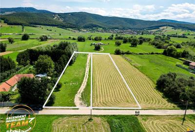 Teren de 2900 mp, în Dobârlău