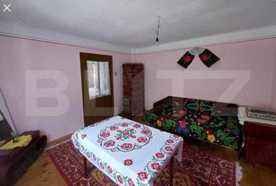 Casa individuala cu 3 camere, 217 mp utili,2800 teren,Intregalde - 8