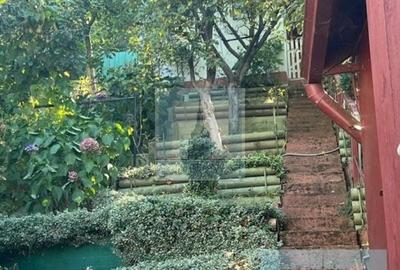 Casa singur în curte, 1000 mp teren - zona Tarlungeni - 8