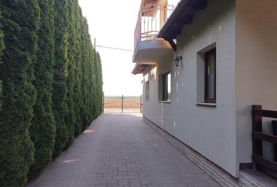BRASADAS vinde vila 5 cam 190mp teren 10 ari str. Dara. - 9
