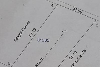 Teren Construcții intravilan de 10391 mp, în Săldăbagiu de Munte