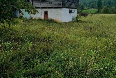 Casă cu 3 camere în Sulța