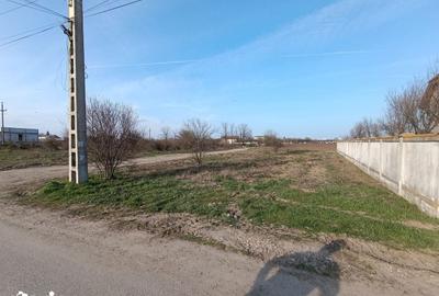 Teren de 720 mp, în Jilava