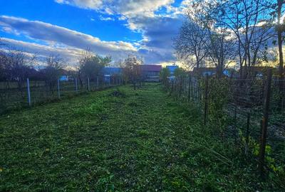 Exclusivitate! Casă cu teren generos în Sat Olteni, Com.Teișani - 14