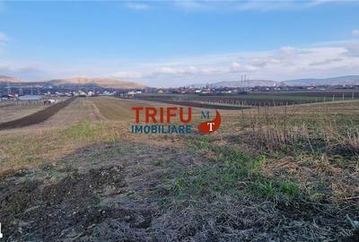 Teren de 1453 mp, în Bărăbanț - 5