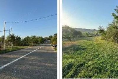 Teren de 2500 mp, în Români - 1
