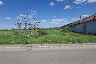 Teren de 30000 mp, în Exterior Vest - 4