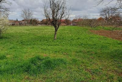 Casă cu 4 camere în Turda - 5