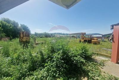 Spațiu industrial, de 290 mp, în Almaș - 3