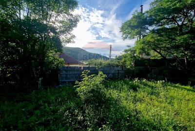 Teren 1,749mp Piatra-Neamt / Strada Zambilelor - 16