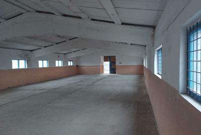 Teren de 2007 mp, în Exterior Vest - 4