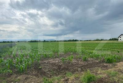 Teren intravilan ,4900 mp , 25ml front, Fratautii Vechi, Rad - 2