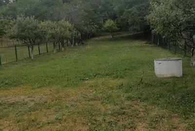 Casă cu 4 camere în Central - 2