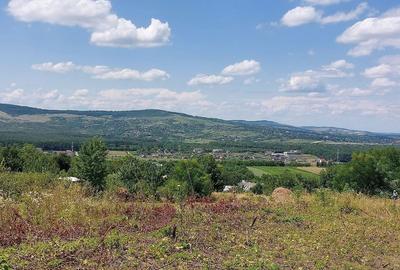 Spațiu comercial, în Curături - 7