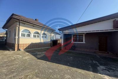 Proprietate deosebita in Filiasi - 14