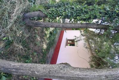 Casă cu 3 camere cu Teren 1200 Mp în Central - 1