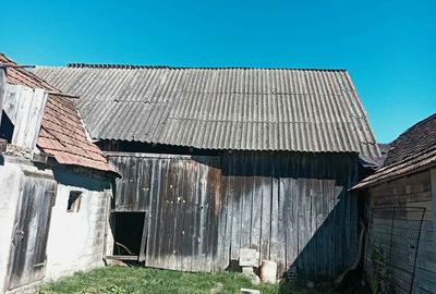 Casă cu 2 camere în Cincșor - 3