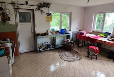 Casă individuală cu 5 camere cu Canalizare în Țânțăreni - 6