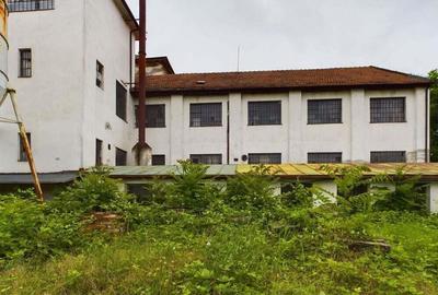 Ansamblu cladiri zona Iosefin-Dambovi?a - 13