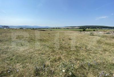 Teren extravilan Criseni, 3800 mp - 5