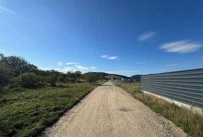 Sânpetru Livadă, 2 fronturi stradale - 8