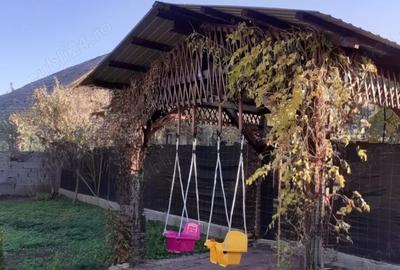 Vand casa Pecica - 4