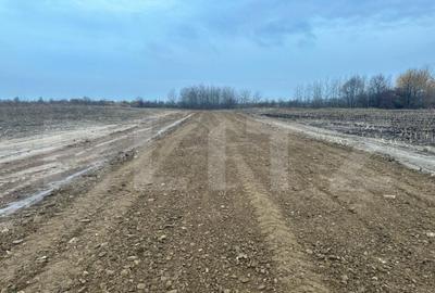 Teren de 15000 mp, în Central