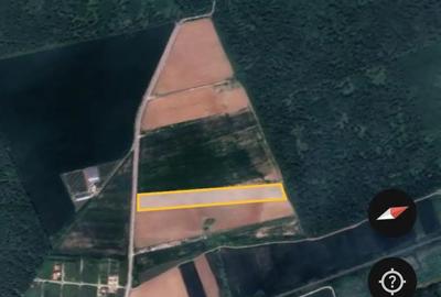 Teren 15000 mp intr. in Scrovistea langa Snagov - 5