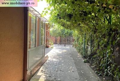 Tihuana Imobiliare:casa de vanzare-Buna Vestire - 4