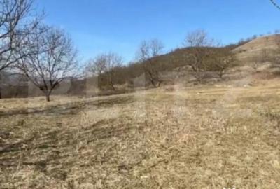 Teren de 20000 mp, în Central - 5