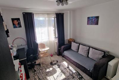 Campia Libertatii , Baba Novac , Parc IOR, renovat, mobilat complet - 11