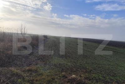 Teren 15000 mp extravilan, Miroslava-Vorovesti, langa zona d - 3