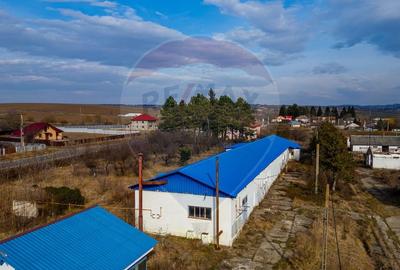 Spațiu industrial, de 800 mp, în Traian - 7