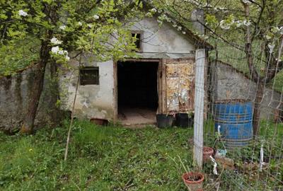 Casă cu 2 camere în Central - 4